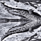 Image for article titled 19 Photos Of (Near) Perfect Symmetry
